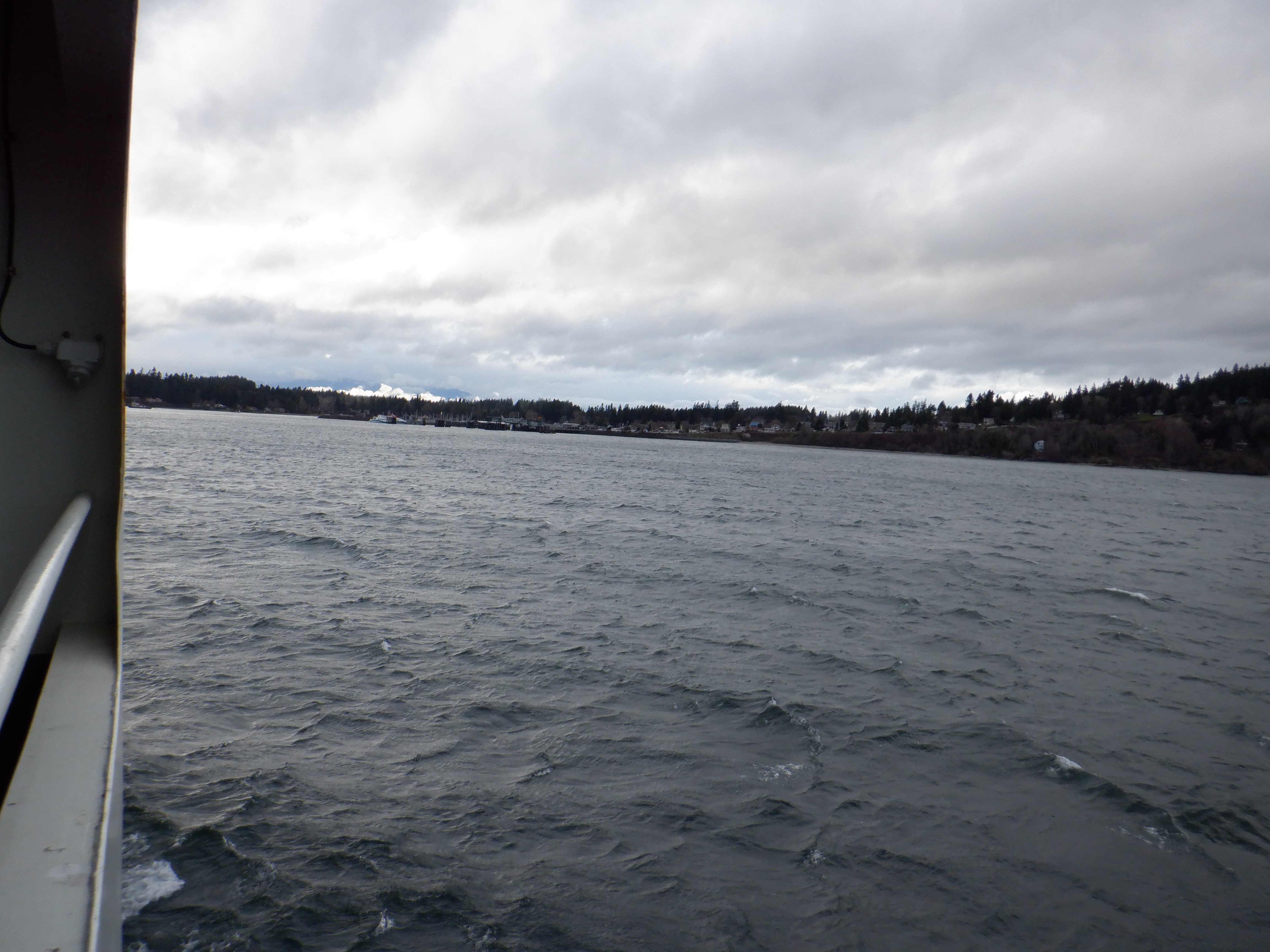 ./2020/03 - Seattle/AD_CF0948.JPG